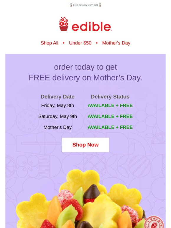 FINAL DAYS: Free Mother's Delivery