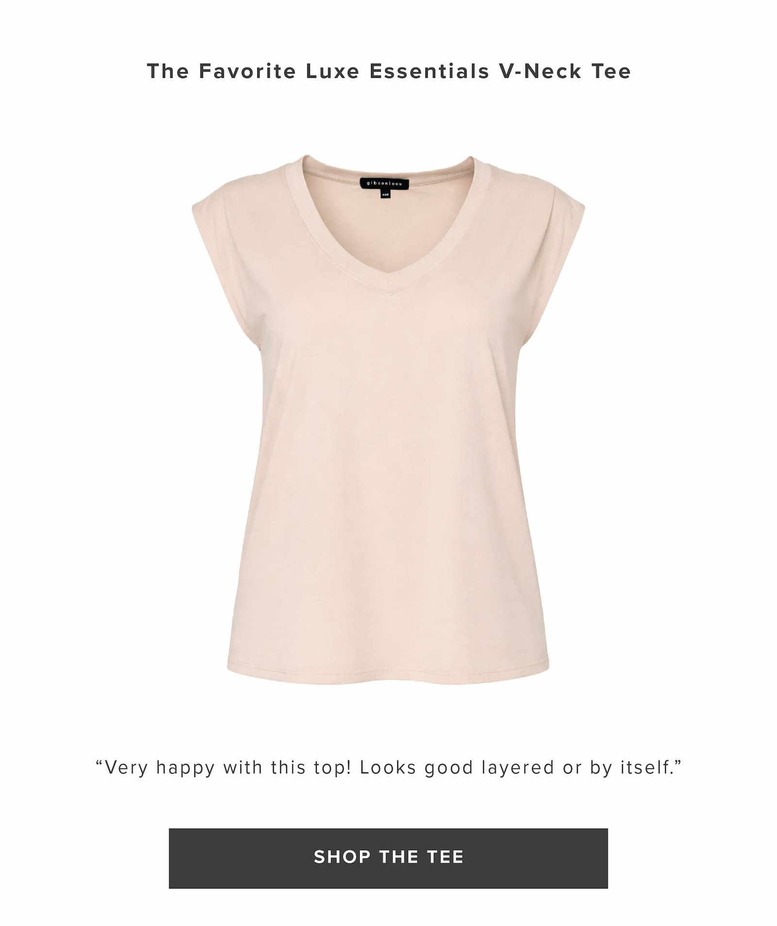 The Favorite Luxe Essentials V-Neck Tee