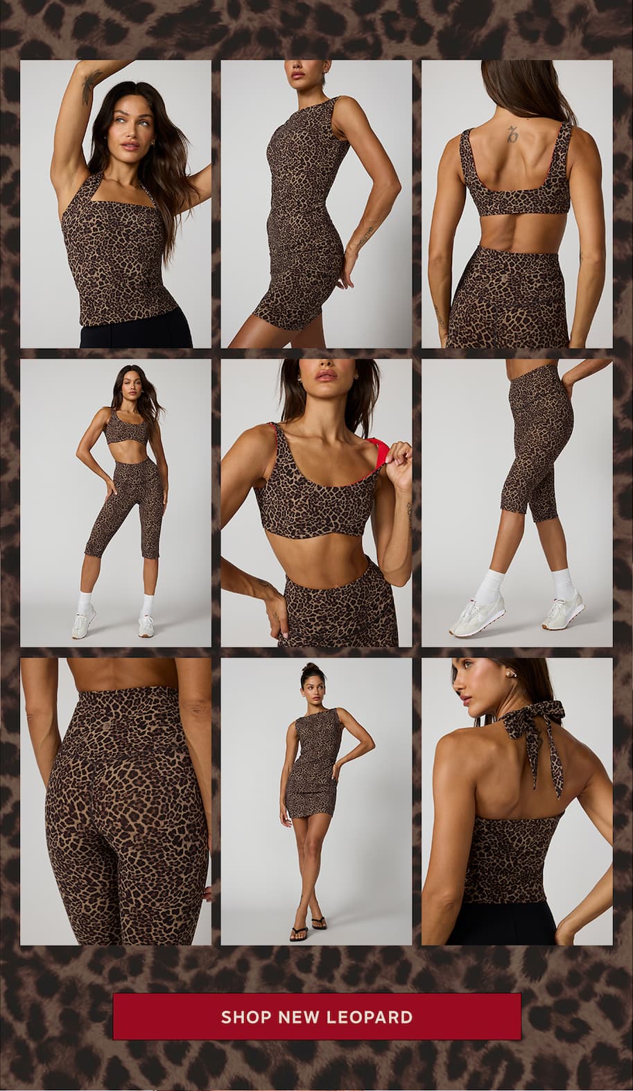 Grid of leopard styles on a leopard print backgound.