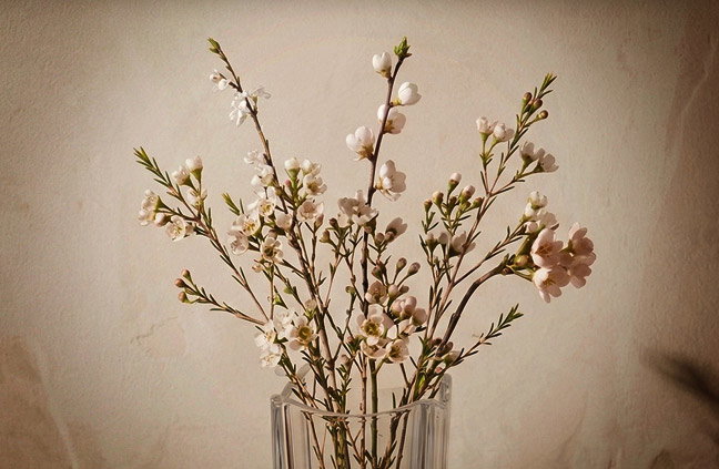 To Mom, with Love