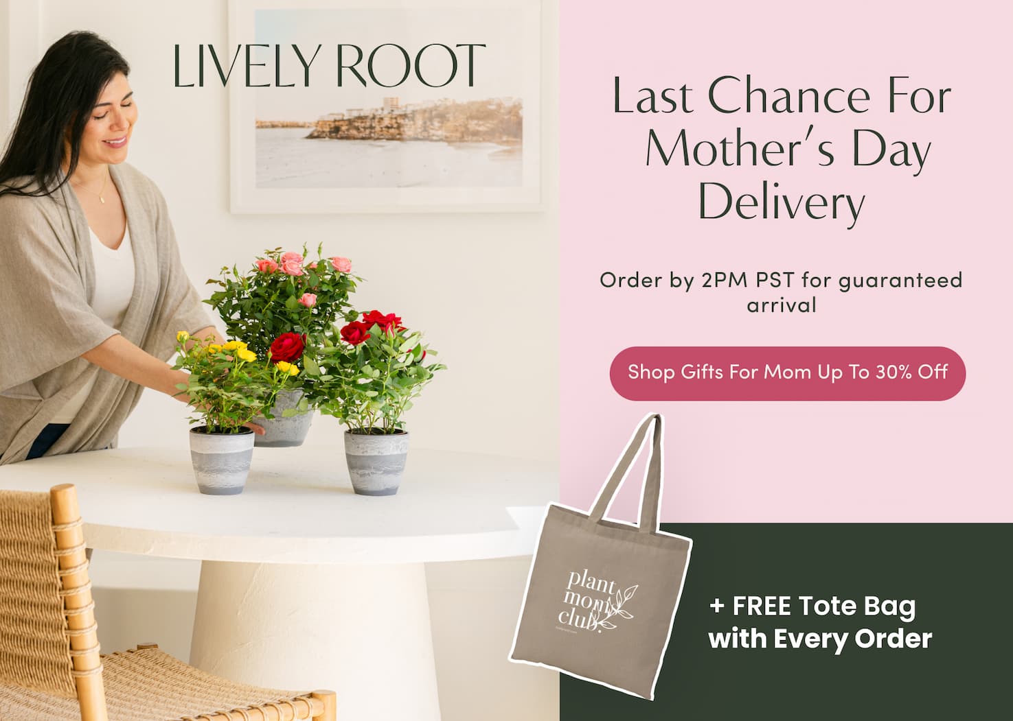 Shop now