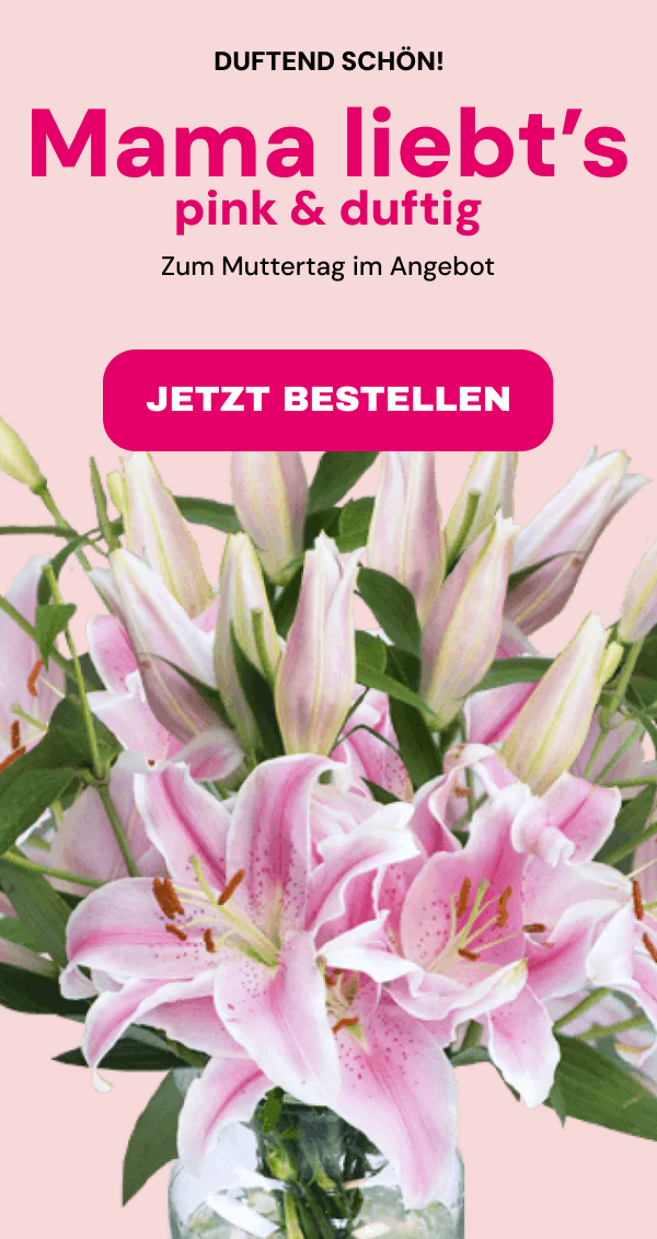 10 pinke Lilien