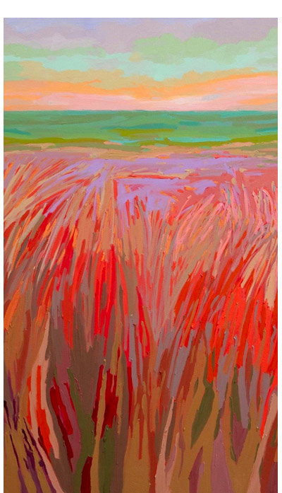There is a focus on form and color