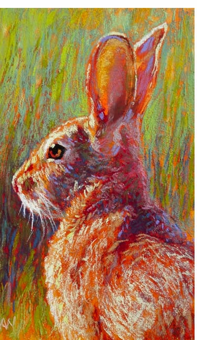 See wildlife in a whole new way with our contemporary wildlife collection
