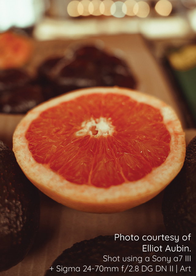 Sigma 24-70mm f/2.8 DG DN II Art Sample