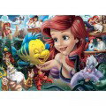 Puzzle DE