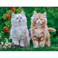 Puzzle DE