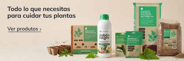 Productos