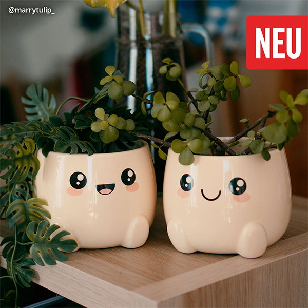 Kawaii Merch