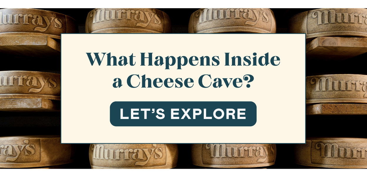 Explore Murray's Cheese Caves