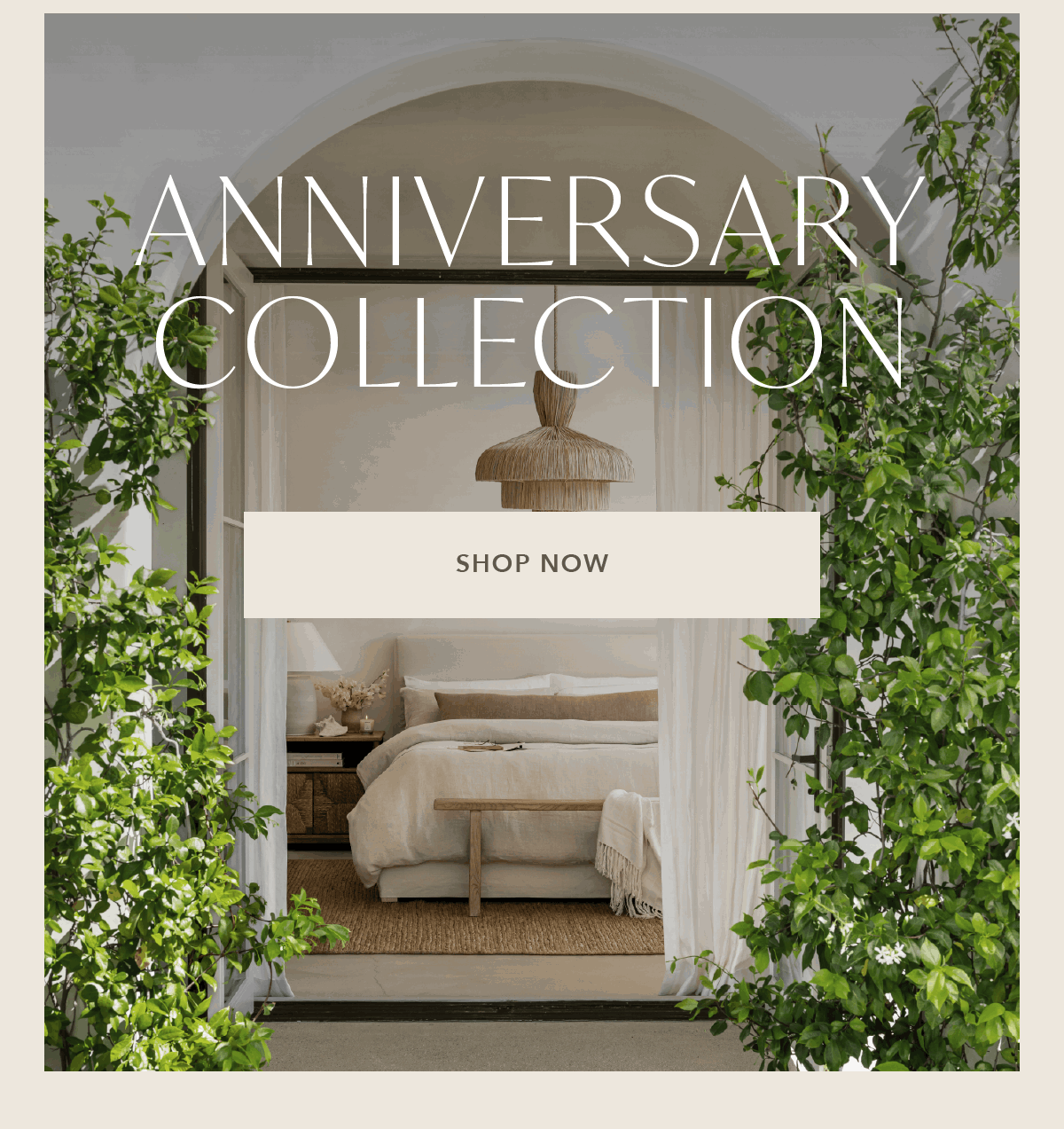 Anniversary Collection: Shop Now