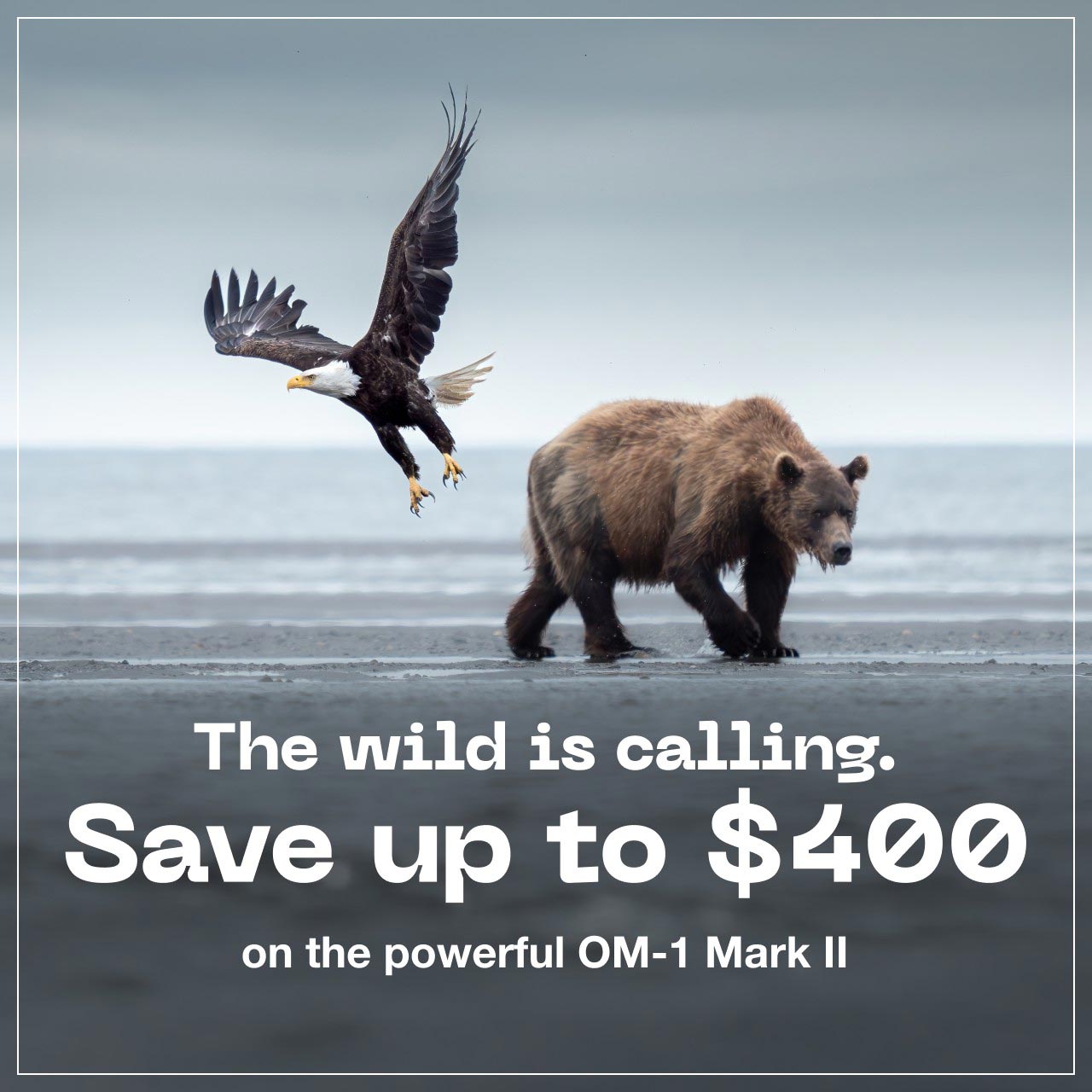 Save up to $400 on OM-1 Mark II