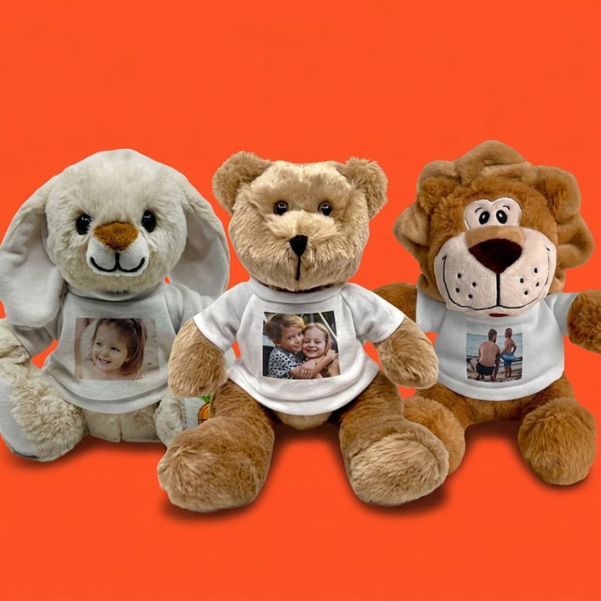 Create my teddy