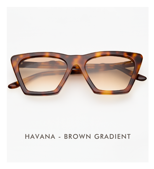 A studio product shot of the Lisbon sunglasses in Havana with Brown Gradient lenses. The frames feature a classic dark amber and brown tortoise-shell pattern.