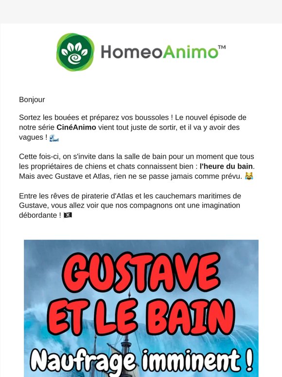 Un chat à la MER ! 🌊😹 Le nouvel épisode de CinéAnimo est là !