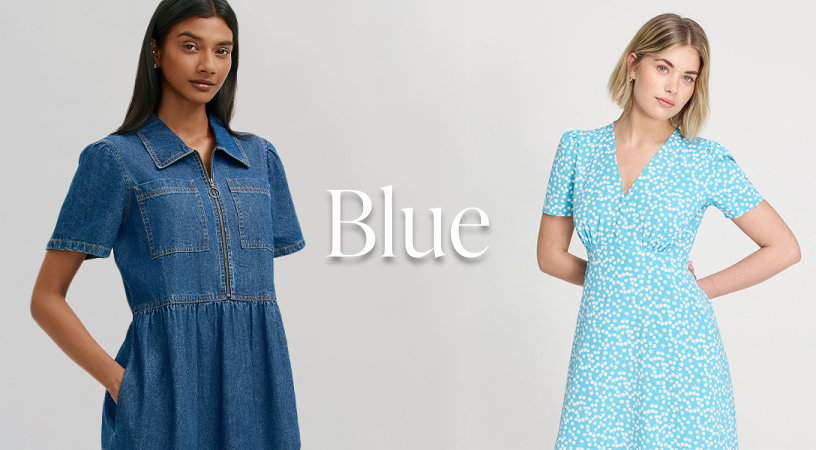SHOP THE BLUE EDIT