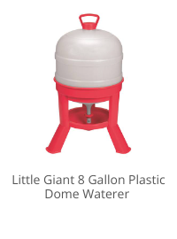 Product Recommendation 5