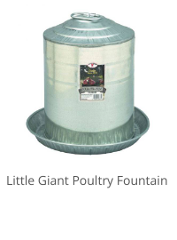 Product Recommendation 6
