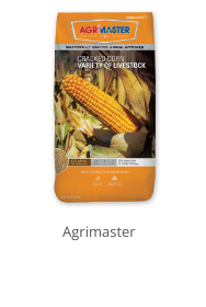 Product Recommendation 4