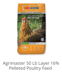 Product Recommendation 1