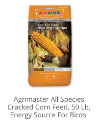 Product Recommendation 4