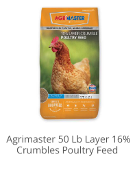 Product Recommendation 3