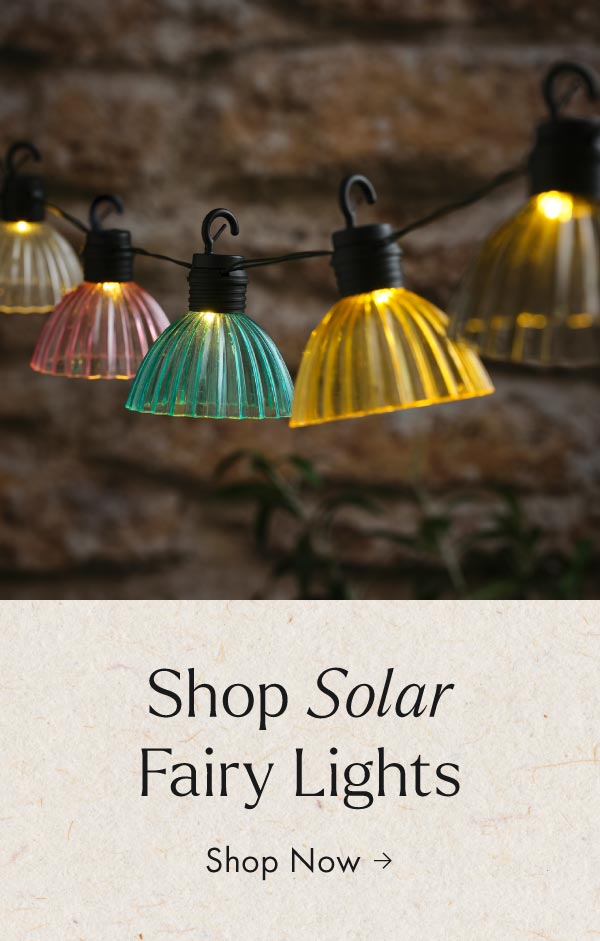 Solar fairy lights