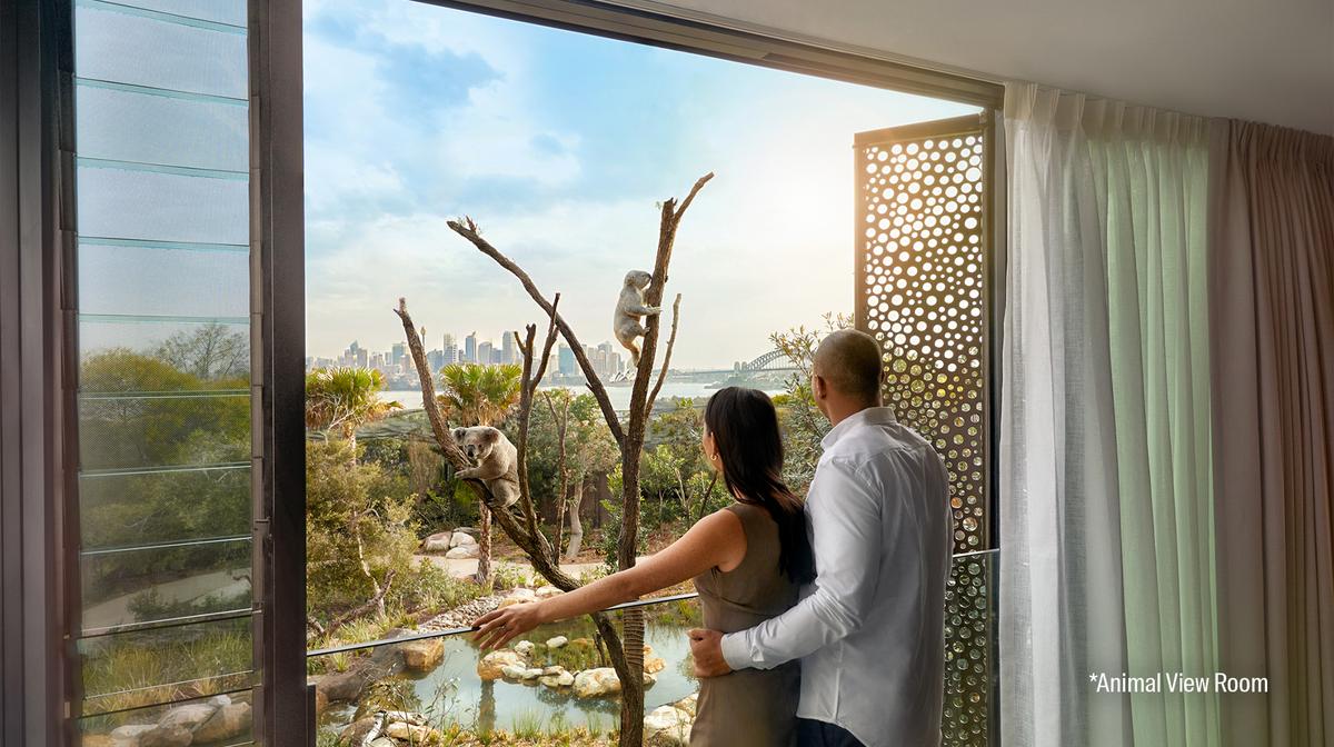 Sydney Eco-Luxury: Taronga Zoo Retreat with Daily Breakfast, Koala Experience & Zoo Tours