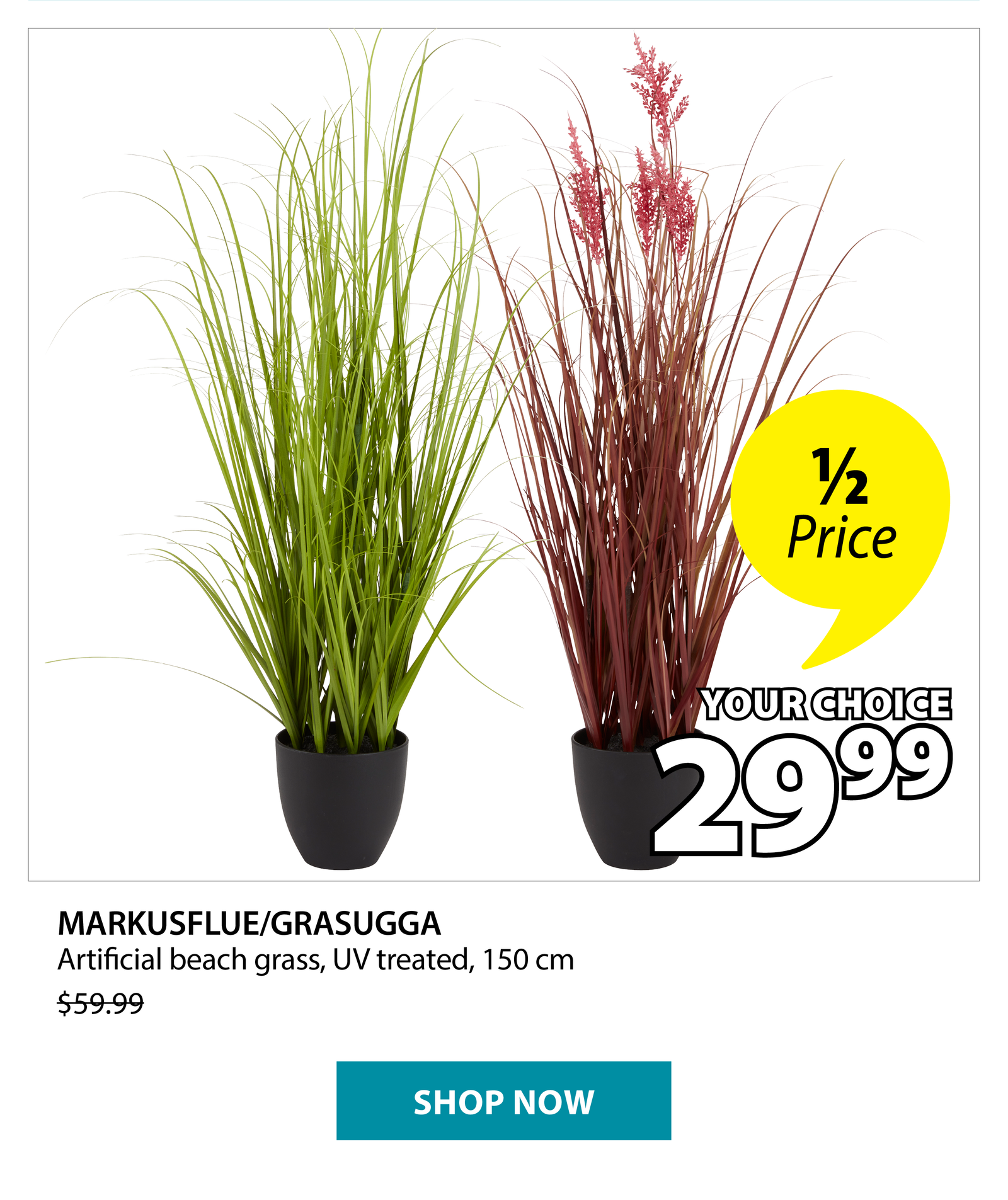 MARKUSFLUE/GRASUGGA  Artificial beach grass | 1/2 Price