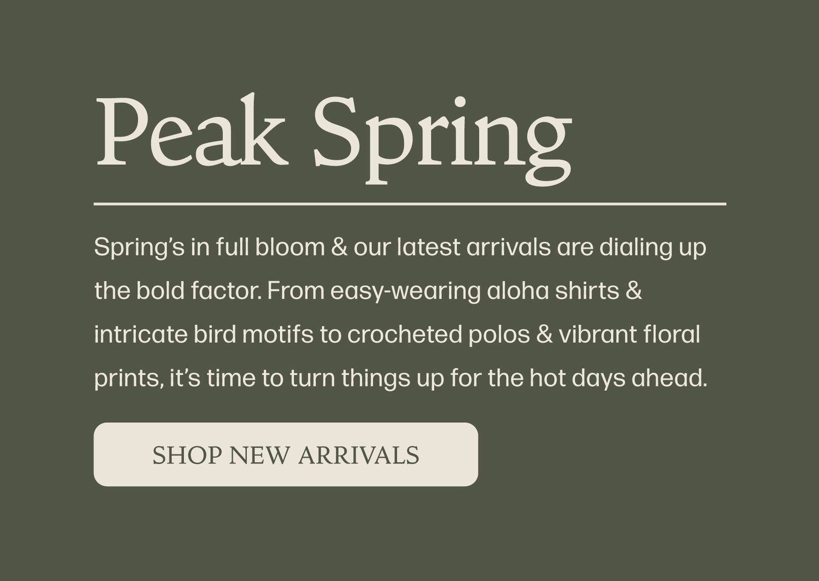 Shop New Arrivals
