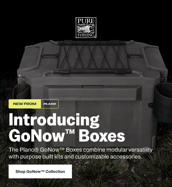 GoNow Hero Gif