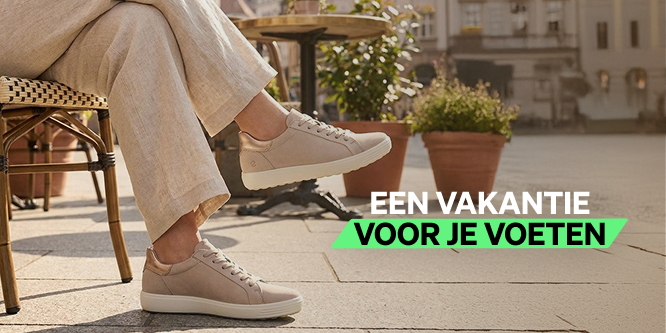 Header - sneakers
