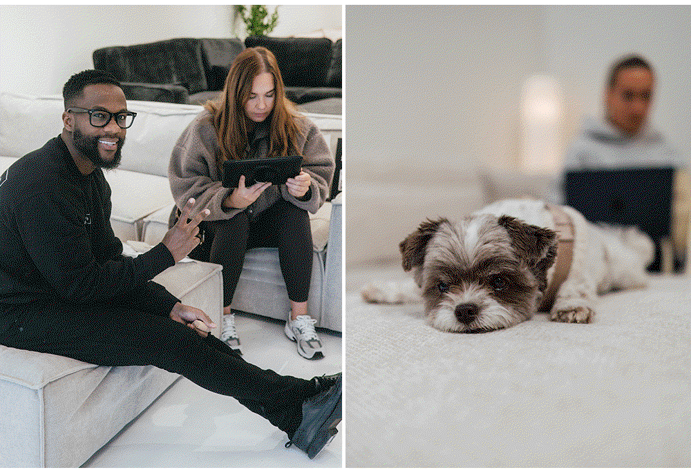 Croydon Showroom. Pet friendly. 