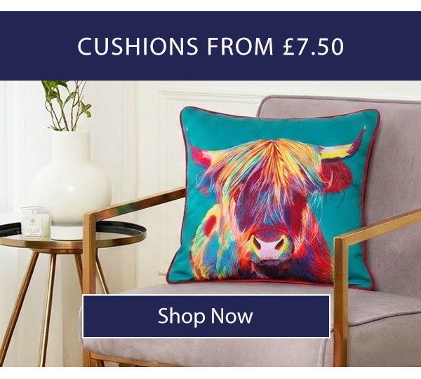 Cushions from £7.50