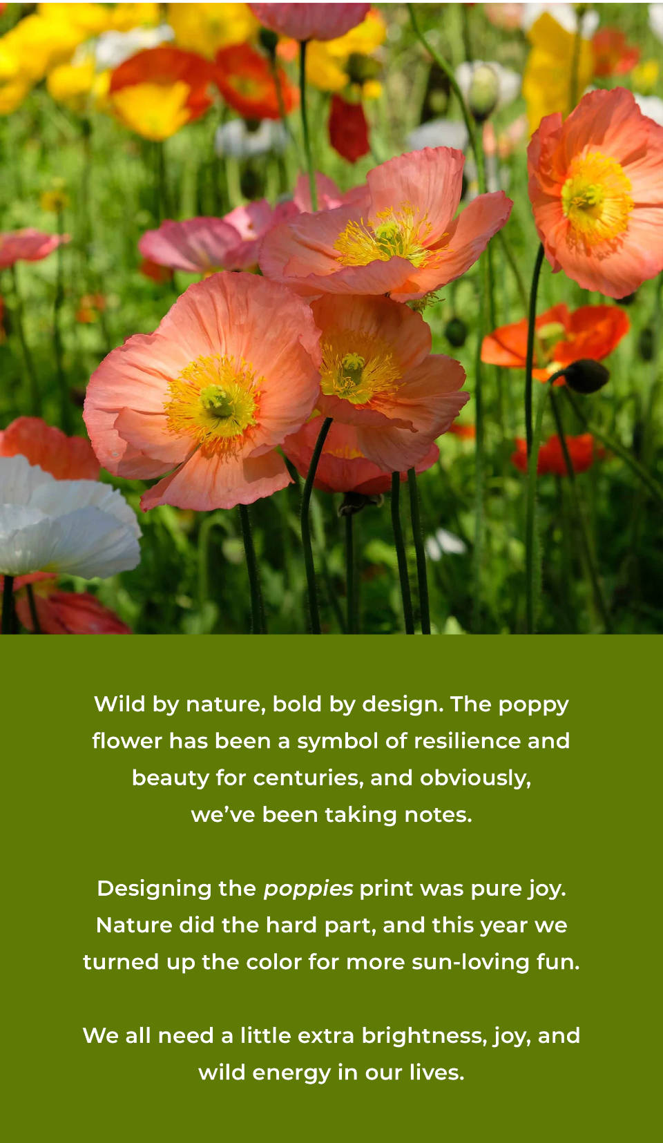 Wild by nature, bold by design.