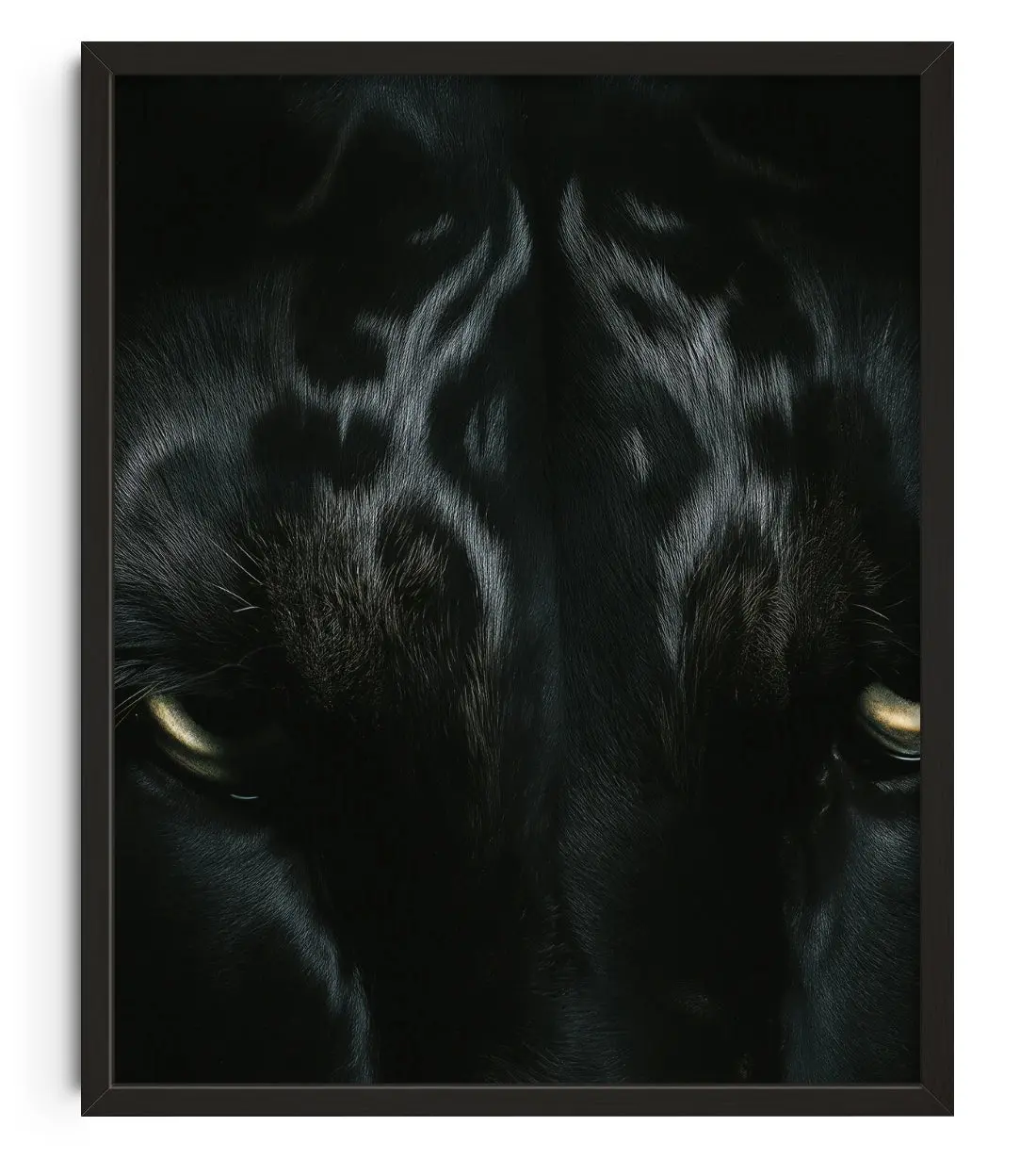 Image of BLACK LORD
