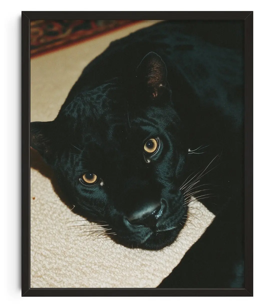 Image of PROTECTOR