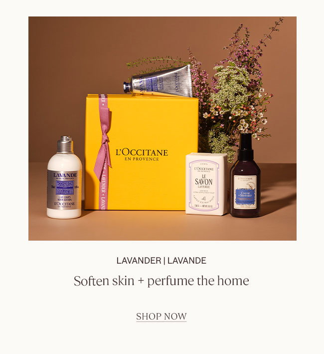LAVANDER | LAVANDE| SOFTEN SKIN + PERFUME THE HOME  | SHOP NOW