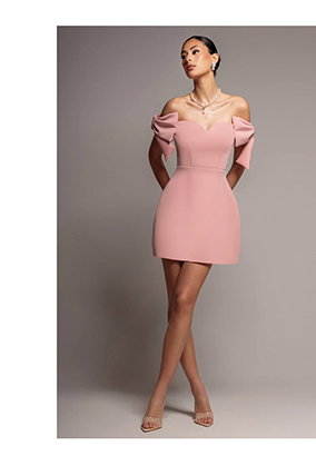 Bardot Plunge Neck Bow Sleeve Skater Mini Dress