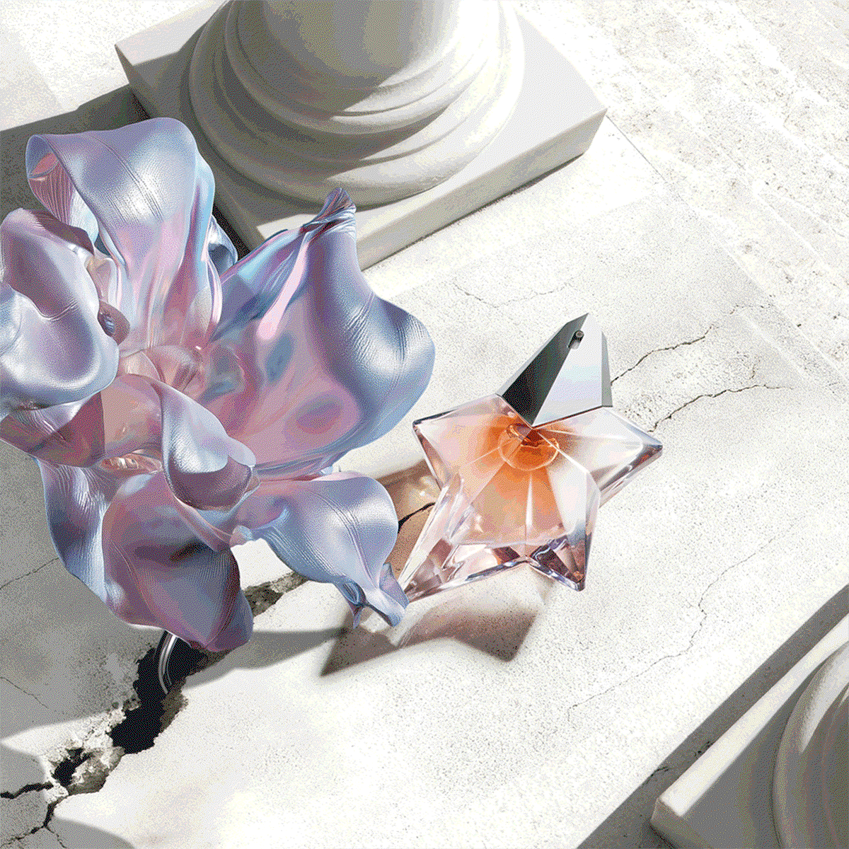 discover something new banner