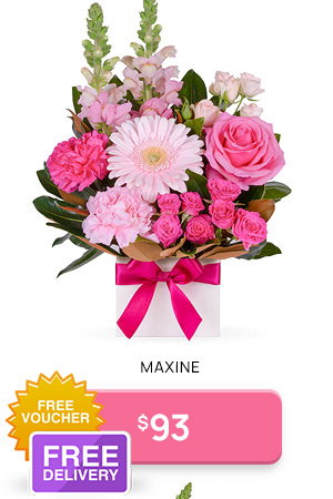 Maxine
