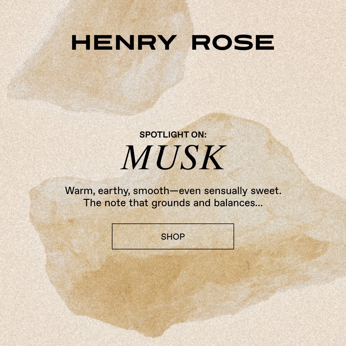 Spotlight on Musk: Warm, earthy, smooth. 