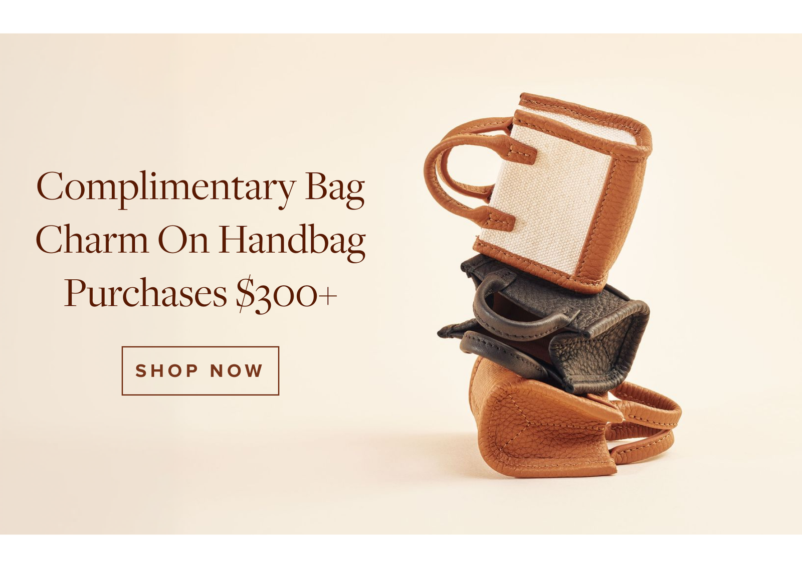 Shop Now >