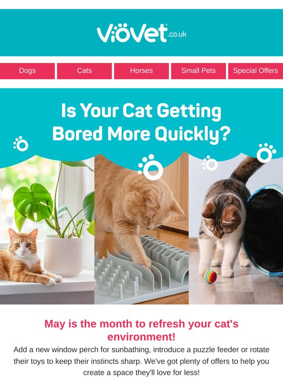 Is your cat getting bored more quickly? 🐈