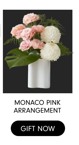 Monaco Pink Arrangement Gift Now