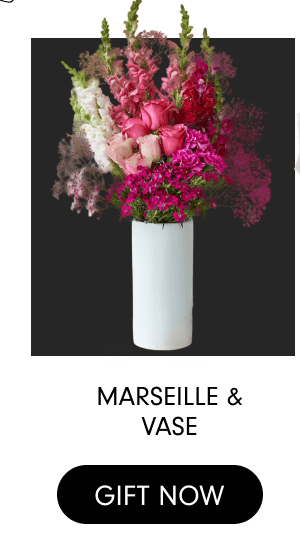 Marseille & Vase Gift Now