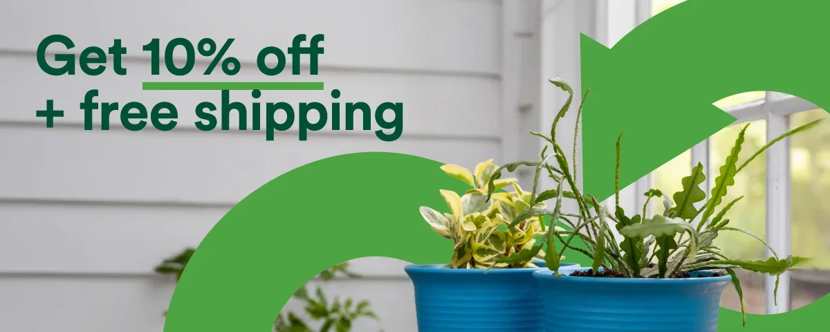 TC Made sale - 10% Off + Free Shipping