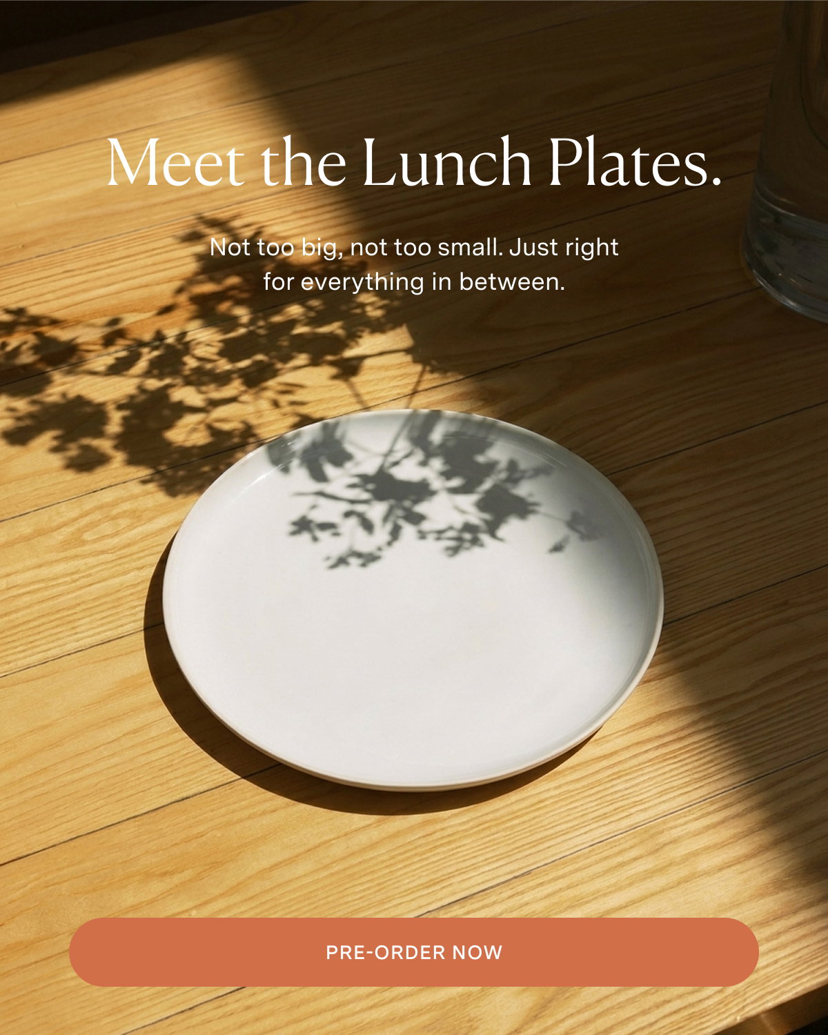 Meet the Lunch Plates. Not too big, not too small. Just right for everything in between.