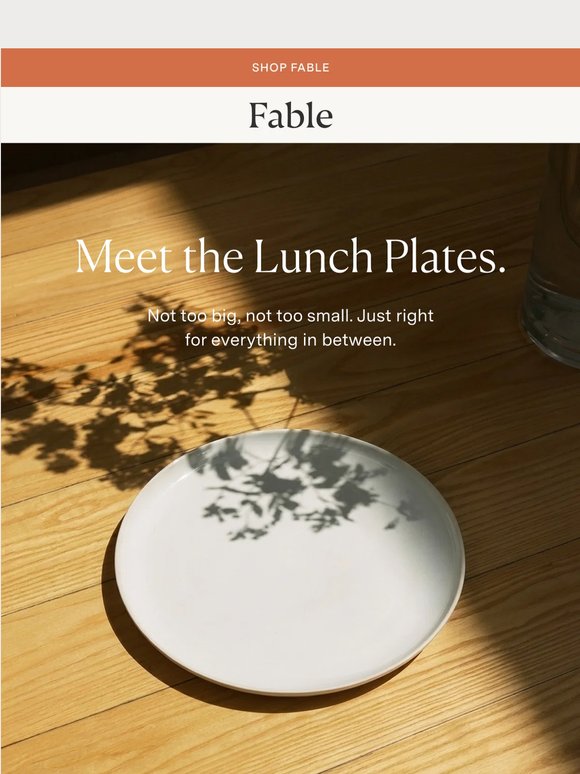 Introducing the Lunch Plates 🍽️