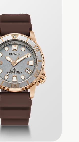 Promaster Dive 37mm  -  EO2022-02A